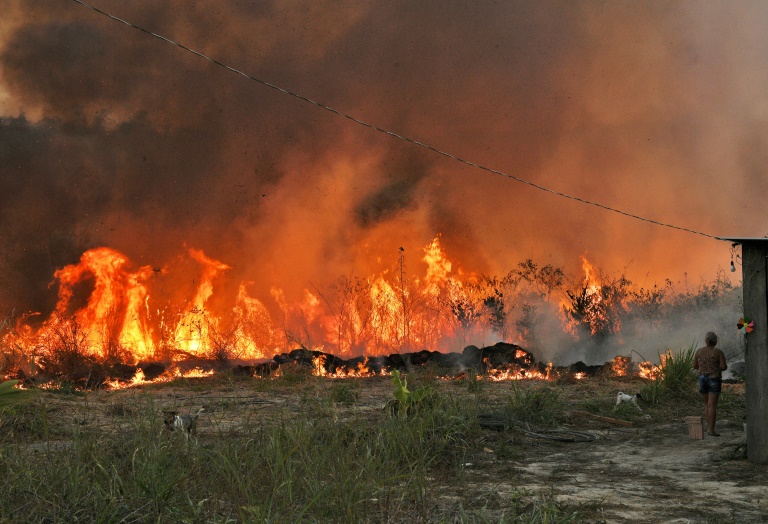 Incendios intencionados em EL PAÍS Brasil
