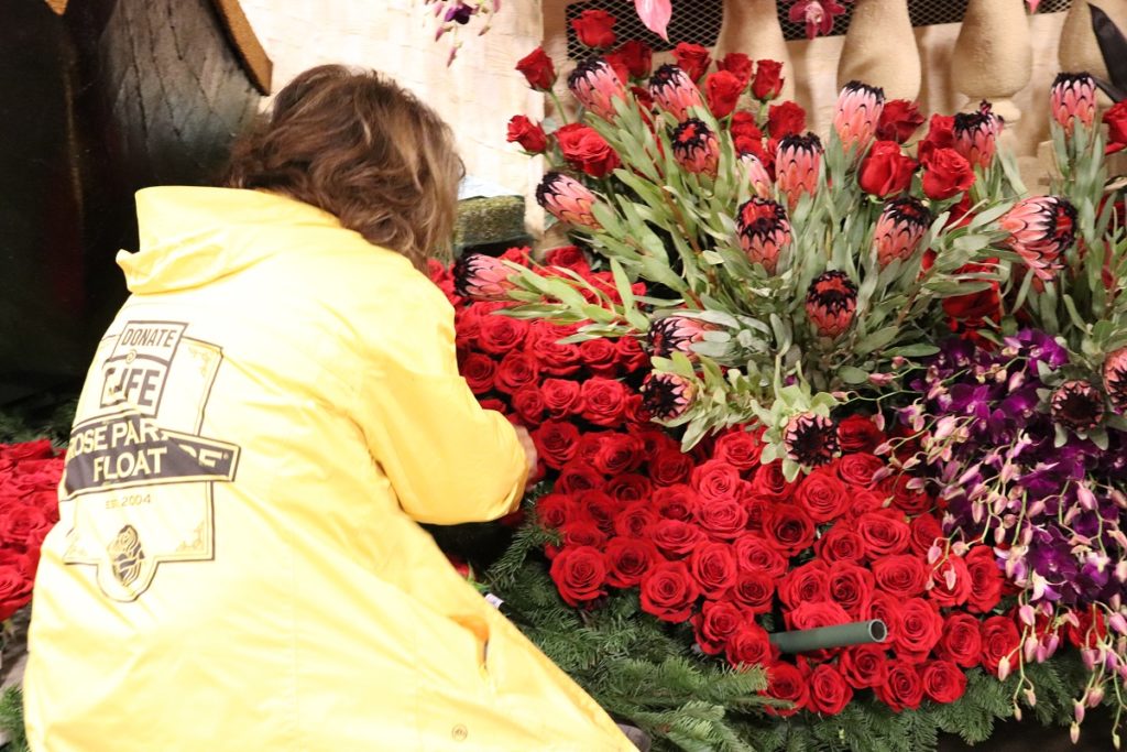 El valor de la donacion de organos en el Desfile de las Rosas 
