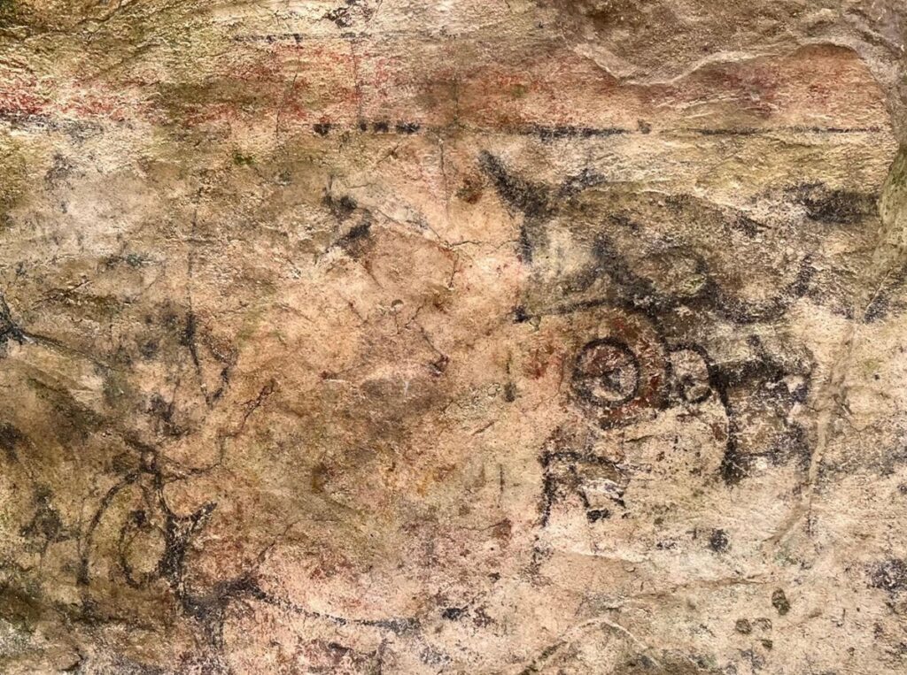 Preservan arte prehispánico en Cancún estabilizan mural en zona arqueológica de San Miguelito