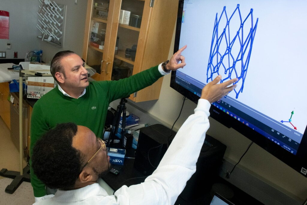 Nnaoma Agwu (señalando), estudiante de doctorado en ingeniería biomédica en la UC Irvine, y su tutor, el profesor Arash Kheradvar, examinan una imagen que ilustra la implantación Nueva válvula cardíaca minimiza cirugías en niños con enfermedades congénitas 