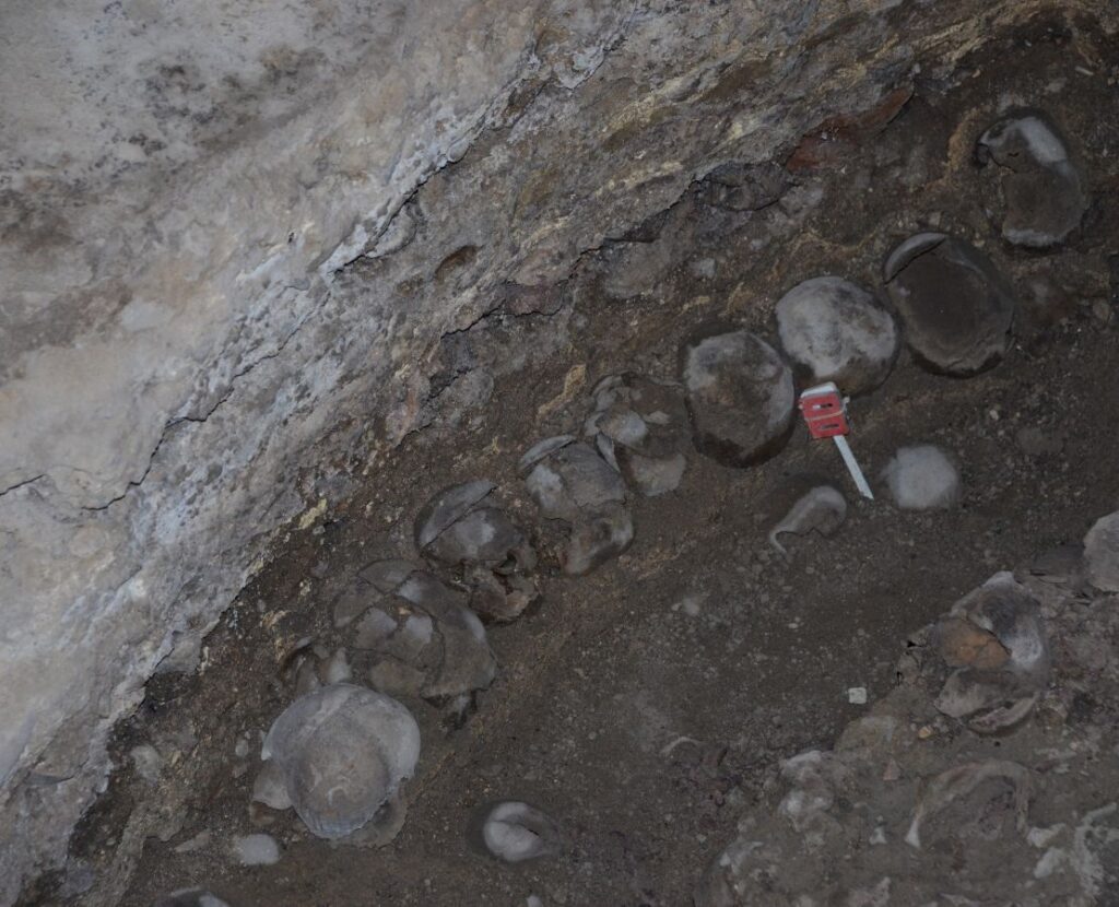 Cráneos, dioses y ADN - el legado vivo del Huei Tzompantli de Tenochtitlán 