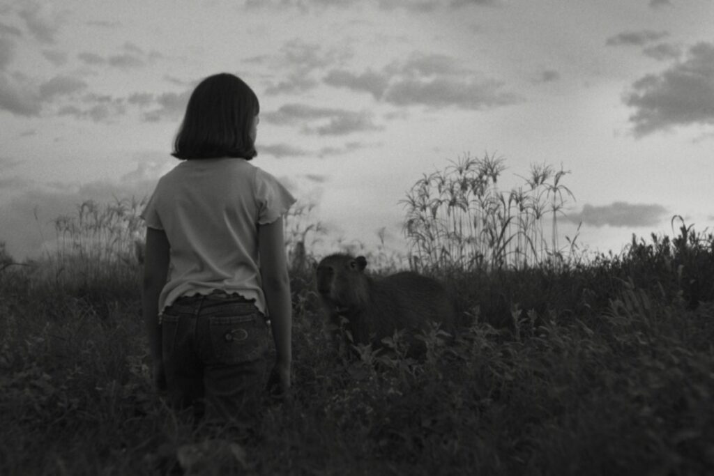 Del desierto chileno al corazón argentino así es la nueva ola del cine latino en San Sebastián 