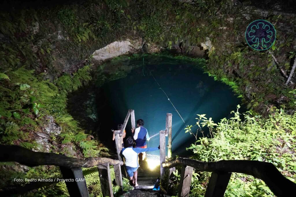 Descubren dientes de megalodón en Tulum: el primer hallazgo científico en Quintana Roo