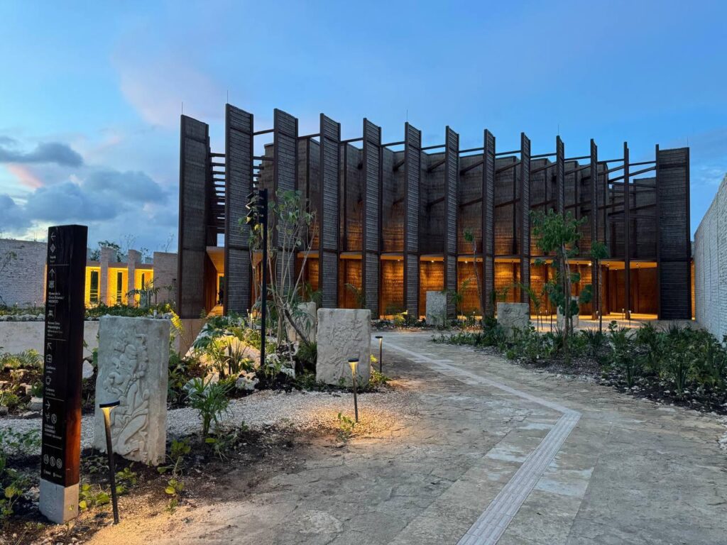 Descubren dientes de megalodón en Tulum: el primer hallazgo científico en Quintana Roo