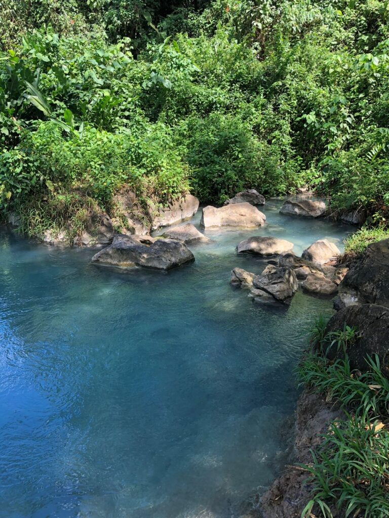 Tras siglos de silencio, Sak-Bahlán resurge de la selva chiapanec
