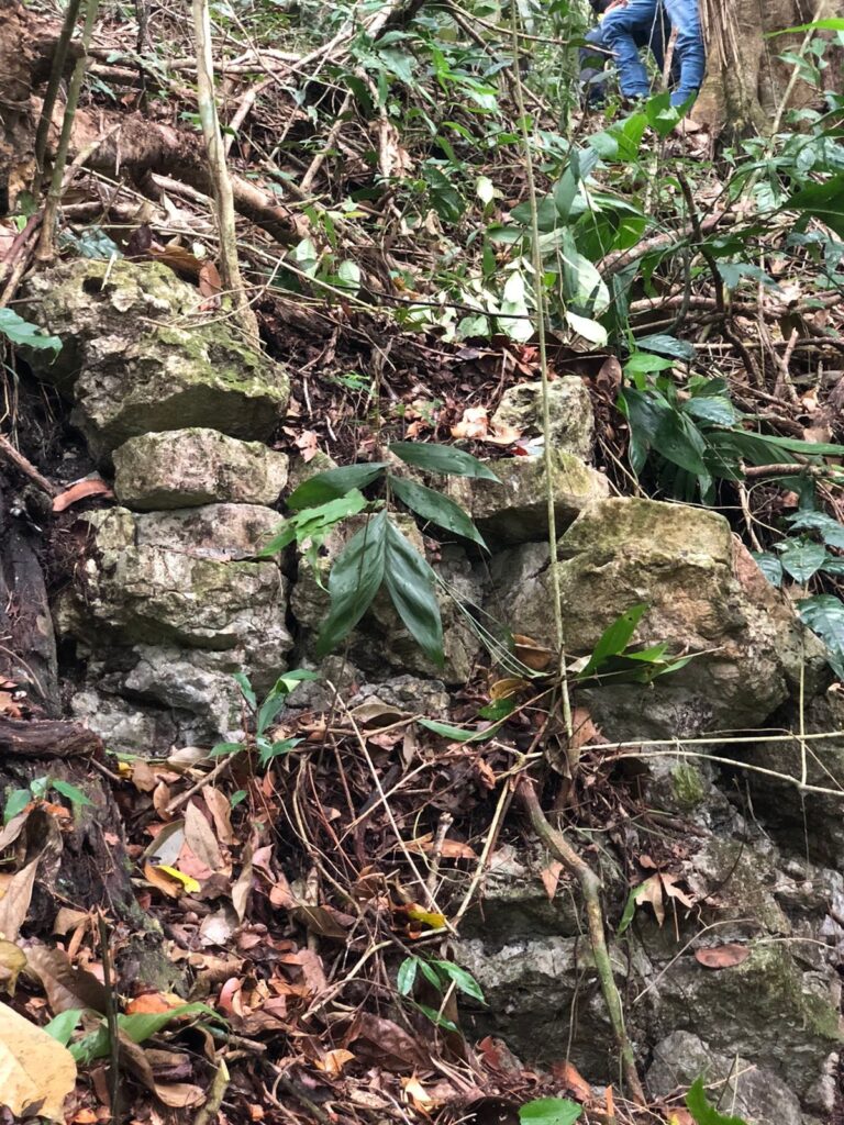 Tras siglos de silencio, Sak-Bahlán resurge de la selva chiapaneca 