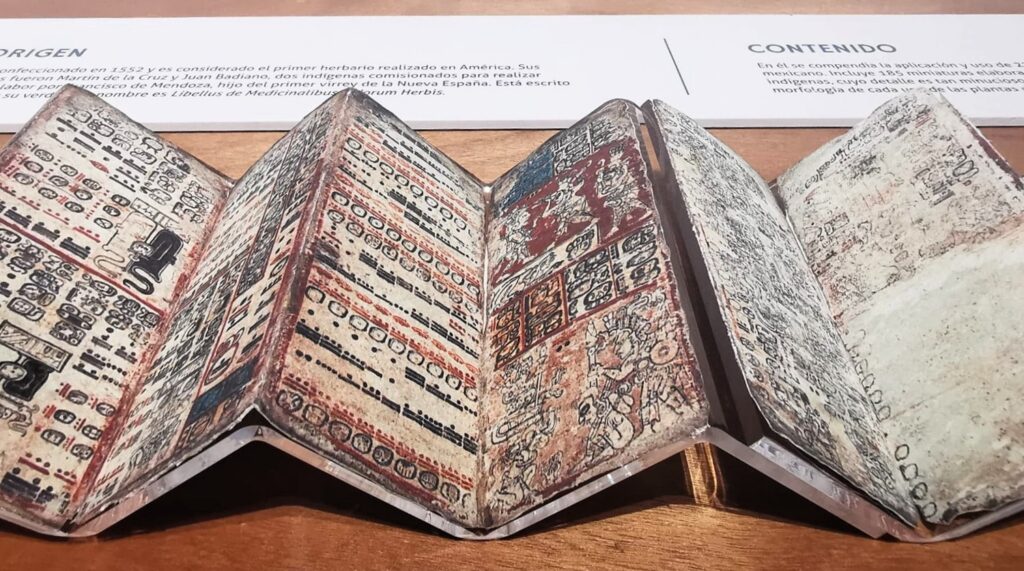 Exposición «Códices de México» llega a Hermosillo para celebrar los 40 años del Museo Regional de Sonora 