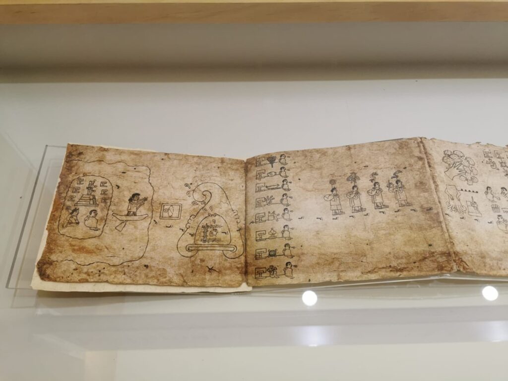Exposición «Códices de México» llega a Hermosillo para celebrar los 40 años del Museo Regional de Sonora 