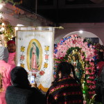 Virgen de Guadalupe - La placita Olvera