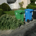 Reciclaje de árboles navideños en el condado de Los Ángeles