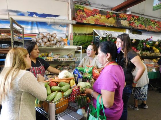 Un regalo de Acción de Gracias para familias de bajos recursos (Foto: Hispanos Press)