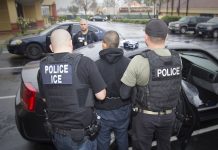 confirma-161-arrestos-en-operativo-realizado-en-el-Sur-de-California.