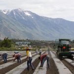 Proyecto busca empleadores sean responsables de redadas en sitios de trabajo