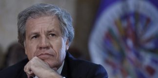 OEA se prepara para declarar el lunes alteración constitucional en Venezuela