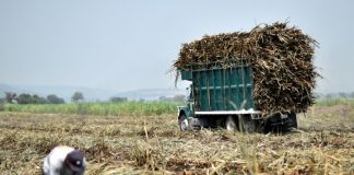 Importación de azúcar desde México continuará libre de impuestos