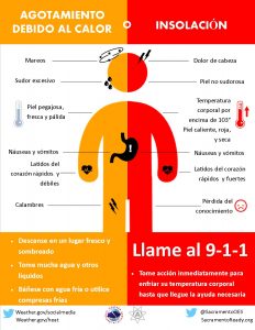 Tome precauciones en la época de calor