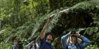 Deforestación en Colombia aumentó 44% en 2016