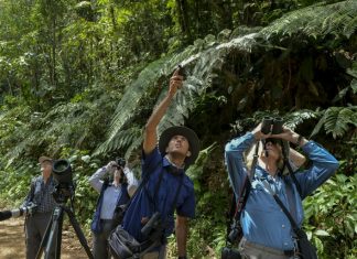 Deforestación en Colombia aumentó 44% en 2016