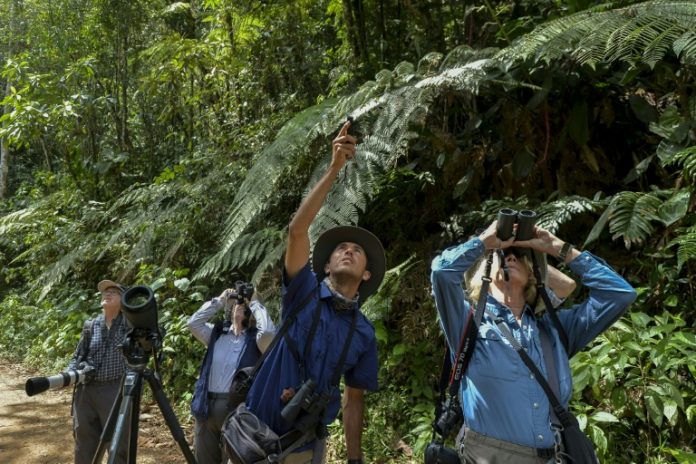 Deforestación en Colombia aumentó 44% en 2016