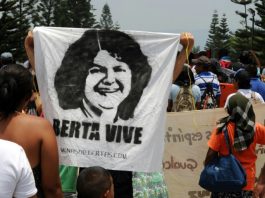 La OEA investiga autores intelectuales del asesinato de ambientalista hondureña