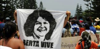 La OEA investiga autores intelectuales del asesinato de ambientalista hondureña