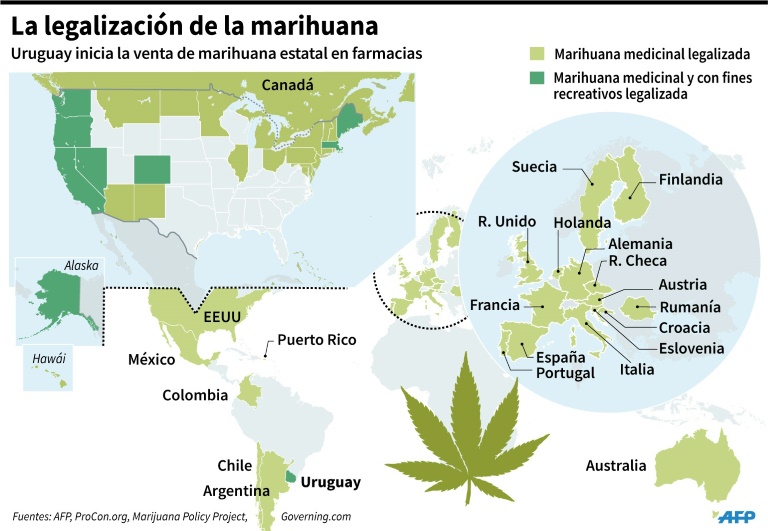 Uruguay se convierte en el primer país en vender marihuana estatal