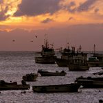 Ecuador capturan buque chino con fauna marina vulnerable en Galápagos