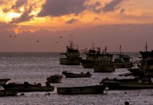 Ecuador capturan buque chino con fauna marina vulnerable en Galápagos