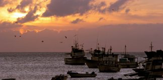 Ecuador capturan buque chino con fauna marina vulnerable en Galápagos