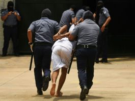 Gobierno de El Salvador lanzará nuevas medidas contra las pandillas