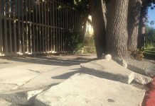 Residentes de Los Ángeles reciben reembolso por reparación de aceras