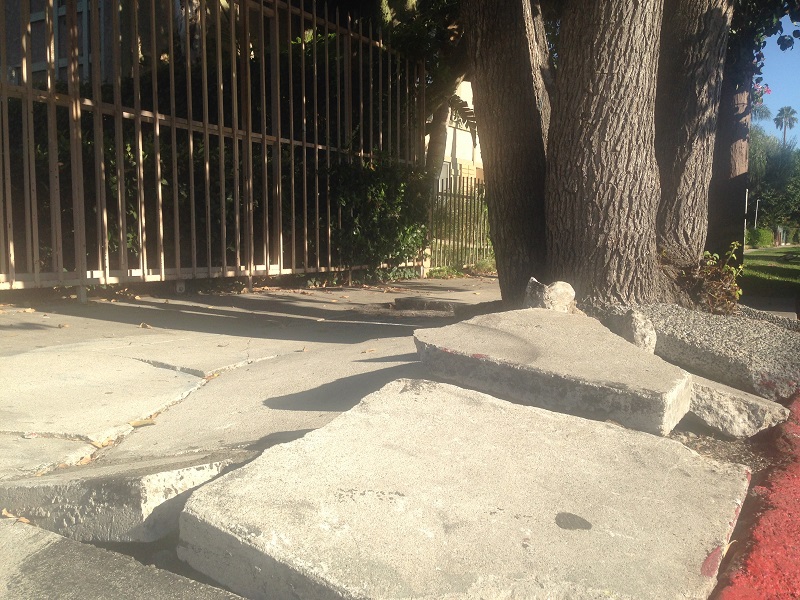 Residentes de Los Ángeles reciben reembolso por reparación de aceras