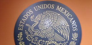 Aceptarán donaciones a México sin pago de impuestos