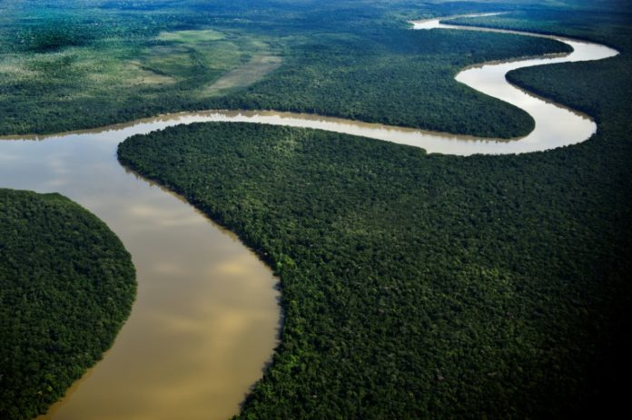 Bajo presión, Brasil anula el permiso para la explotación minera en reserva amazónica