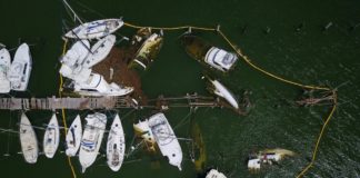 El ecosistema de Puerto Rico demorará 10 años en recuperarse del huracán María