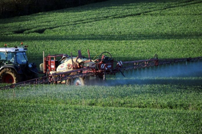 Inédita condena por fumigar con agroquímicos una escuela rural argentina