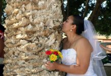 Ambientalista peruano promueve boda colectiva con árboles en México