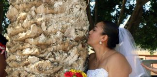 Ambientalista peruano promueve boda colectiva con árboles en México