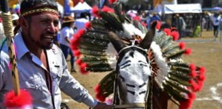 México va al rescate del burro a través de la fiesta