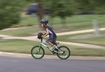 ¡Aviso! Los cascos de bicicleta protegen el cerebro
