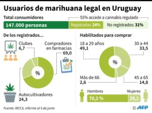 Los uruguayos cumplen un año comprando - grafica
