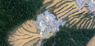 Aviones y drones monitorean daño ambiental en la Amazonía peruana