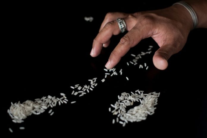 El arroz plástico inundó los mercados! Falso, pero caen las ventas en Bolivia