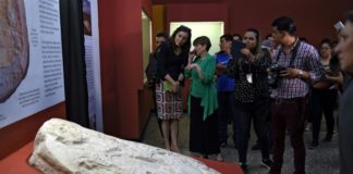Altar descubierto en Guatemala muestra 'Juego de Tronos' de cultura maya museo