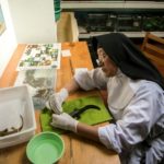 Monjas mexicanas, 'la gran esperanza' para el mitológico achoque