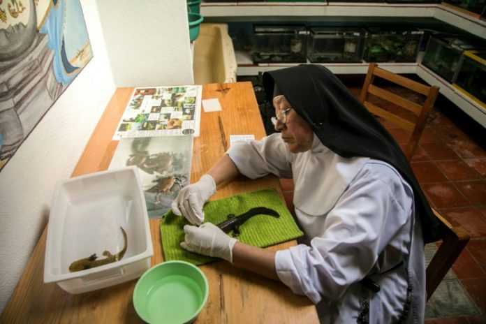 Monjas mexicanas, 'la gran esperanza' para el mitológico achoque