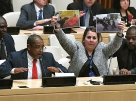 Diplomáticos cubanos boicotean sesión en la ONU sobre prisioneros en la isla
