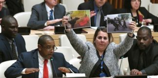 Diplomáticos cubanos boicotean sesión en la ONU sobre prisioneros en la isla
