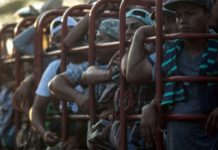 Gobierno pide a salvadoreños evitar arriesgar la vida emigrando a EEUU