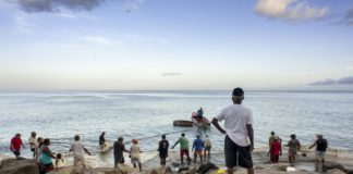 Países del Caribe testearán acidez del océano ligada a gases de efecto invernadero
